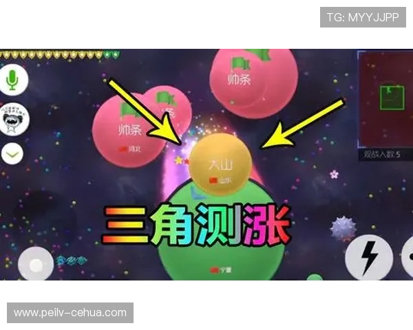 玩球波胆大小球结合避坑指南平台对比防骗